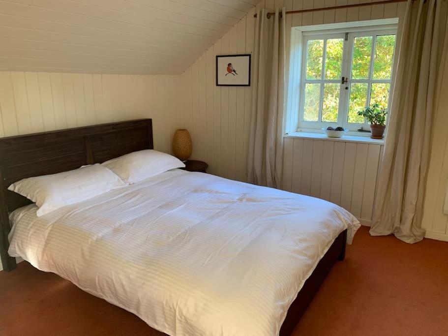 Trinity Annexe An Adorable First Floor Light And Lofty Space Within An AonbGodmanstone エクステリア 写真